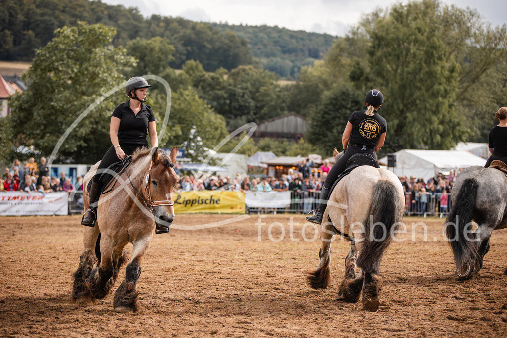 846A4051 | fotosleben - Realisiert mit Pictrs.com