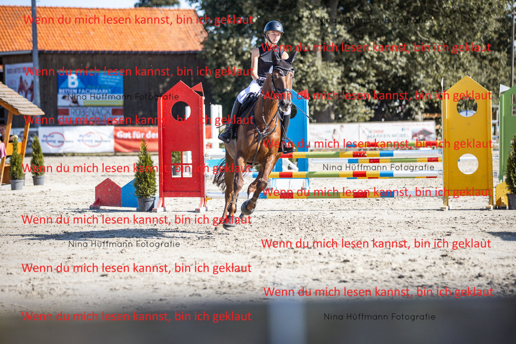 BK1A7298 | Turnierbilder Turnierfotos Nina Hüffmann Turnierfotografie Pferdefotografie Tierzeichnung Haustierzeichnung Pferdezeichnung Hundezeichnung Videograf  - Realisiert mit Pictrs.com