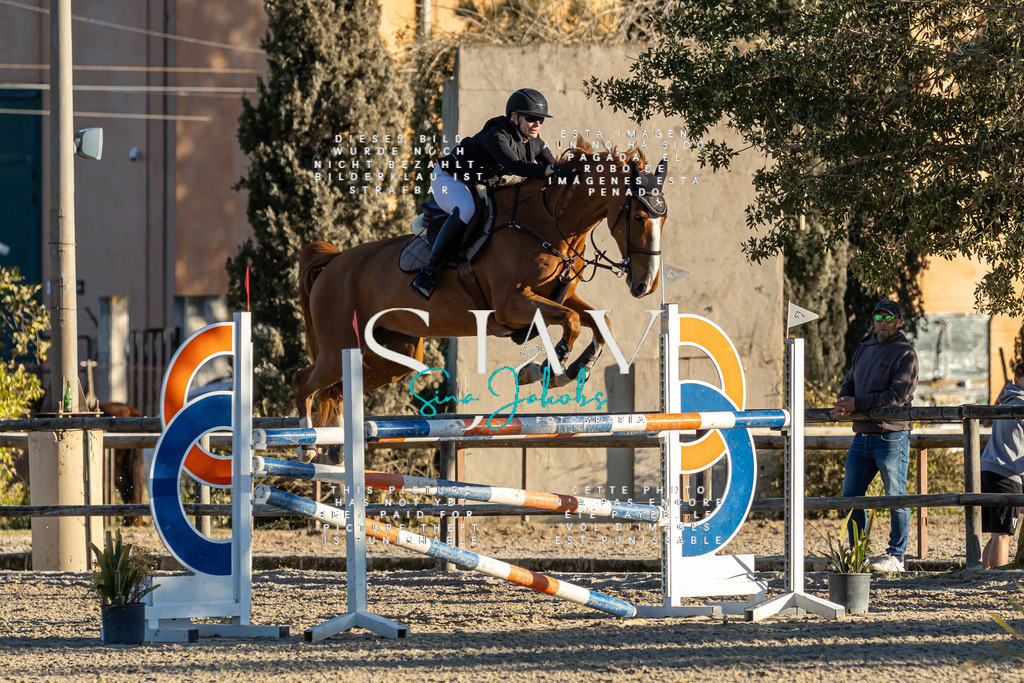 IMG_2507 | s-jay-photography - Realisiert mit Pictrs.com