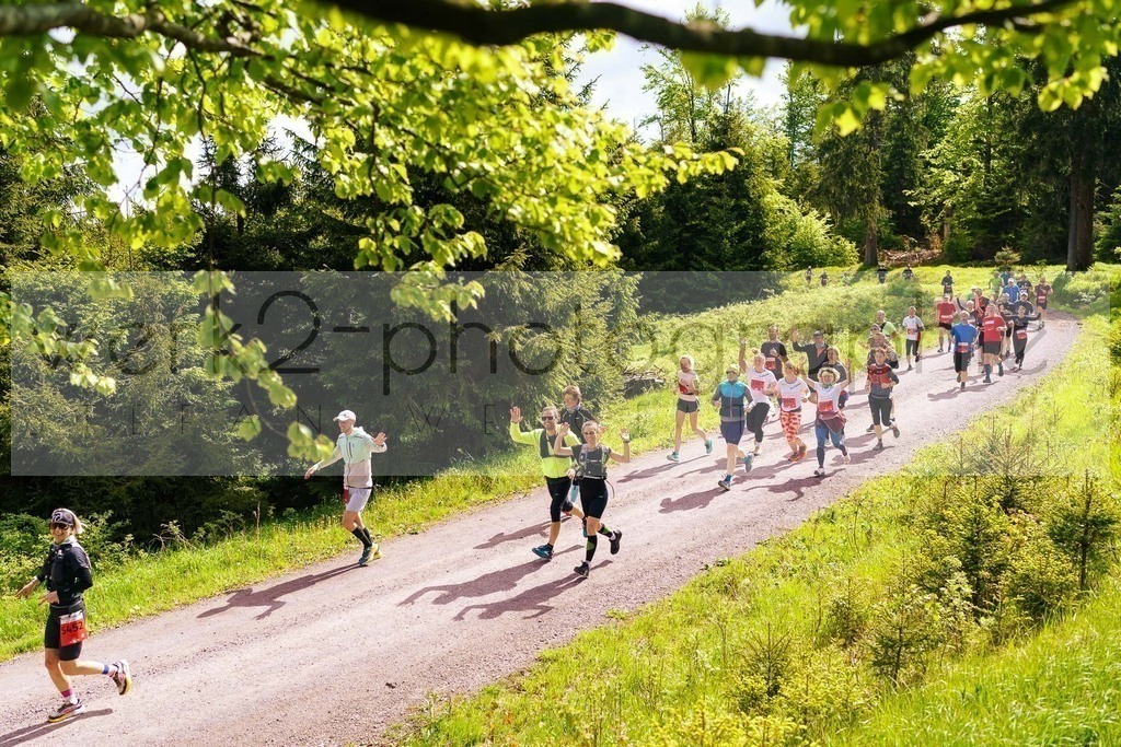 Rennsteiglauf Marathon 2025 | Marathon von Neuhaus/Rwg. nach Schmiedefeld/Rstg. am 17. Mai 2025