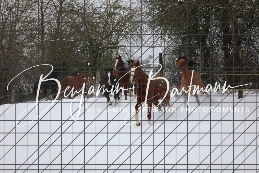 AZ2A3284 | Benjamin Bartmann Photomoments