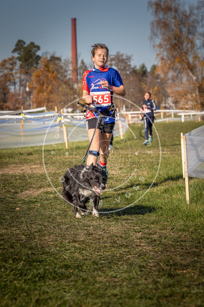 CaniXpix_0L8A7934 | Hundefotografie, Tierfotograf, Pfotenfotografie, Fotoshooting Hund, Hunde Portrait, Hundesport, Hundeportraits, Heideshooting, Hunde, Sportfotograf, Hundefotograf, Turnierhundsport, THS,  - Realisiert mit Pictrs.com