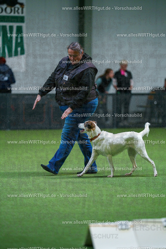 7R503311 | Professionelle Tierfotografie in Mönchengladbach von Daniel Wirth (allesWIRTHgut). Liebevolle & natürliche Bilder von Hunden & Katzen für unvergessliche Erinnerungen.