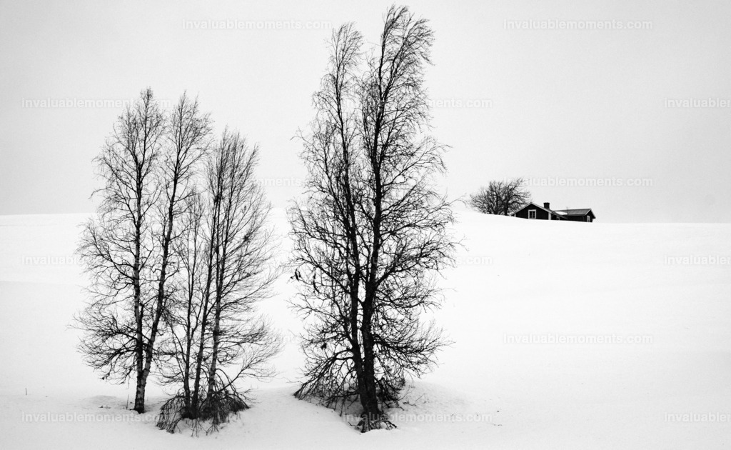 DSCF3299 | invaluablemoments.com - Realisiert mit Pictrs.com