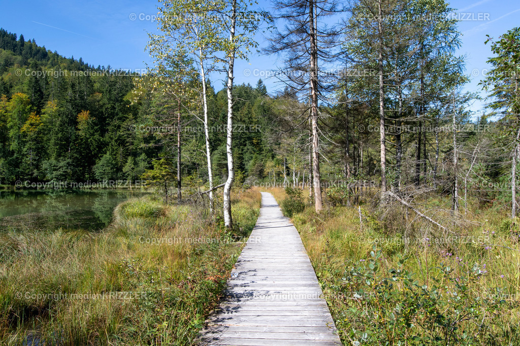 Frillensee | medienkrizzler - Realisiert mit Pictrs.com