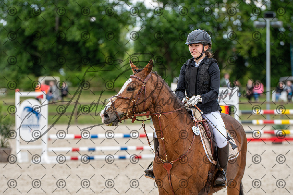 KPT_6381 | andre_photographic