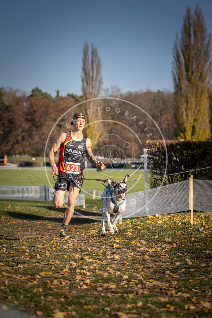 CaniXpix_DV3A9957 | Hundefotografie, Tierfotograf, Pfotenfotografie, Fotoshooting Hund, Hunde Portrait, Hundesport, Hundeportraits, Heideshooting, Hunde, Sportfotograf, Hundefotograf, Turnierhundsport, THS,  - Realisiert mit Pictrs.com