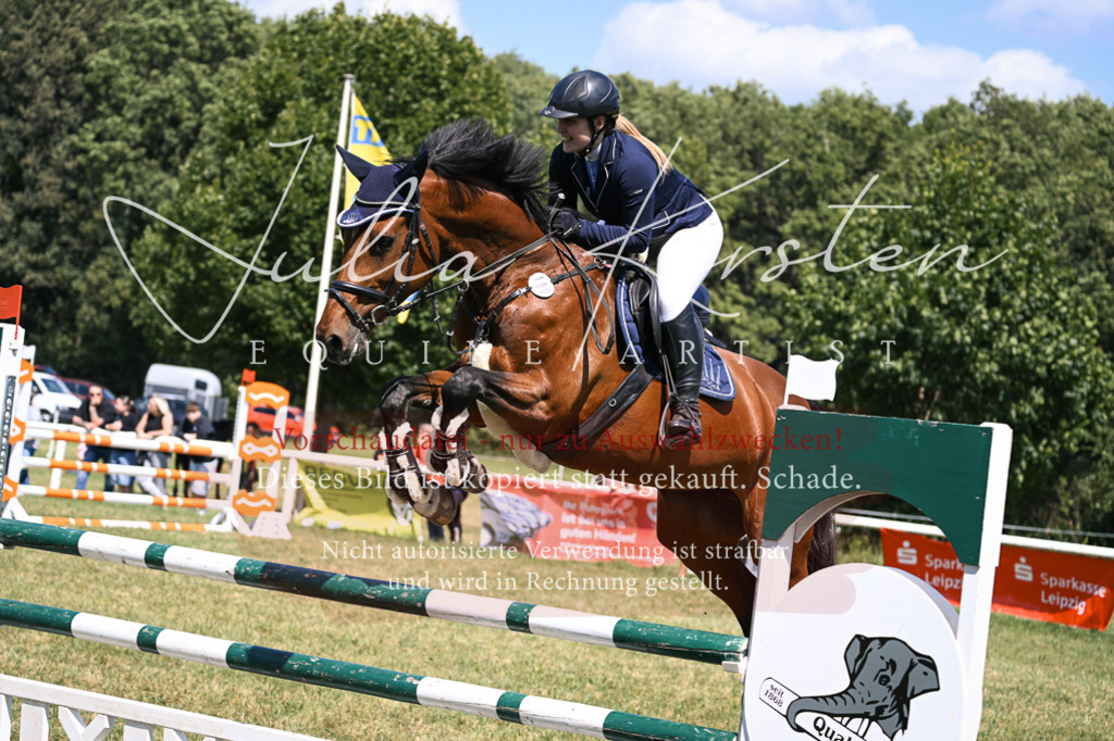 DSC_0261 | Pferde- und Turnierfotografie in Westsachsen. Pferdeportraits, Auftragszeichnungen und intuitive Kunst.