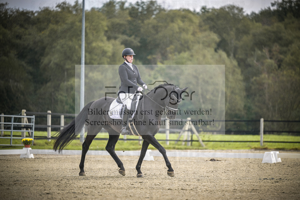 DOS_B500 | Entdecke hochwertige Reitturnierfotos von Foto Oger. Professionell, emotional und authentisch – jetzt Lieblingsmomente im Shop bestellen.Deutschlandweite Turnierfotografie. - Realisiert mit Pictrs.com