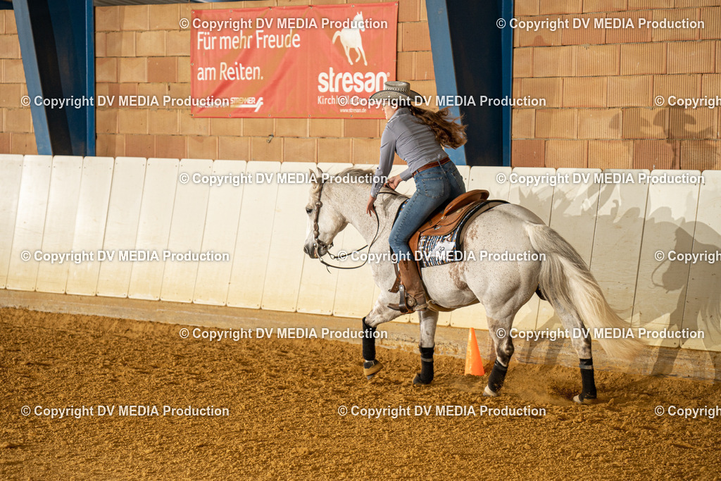 MIT00484 | dv-media-shop - Realisiert mit Pictrs.com