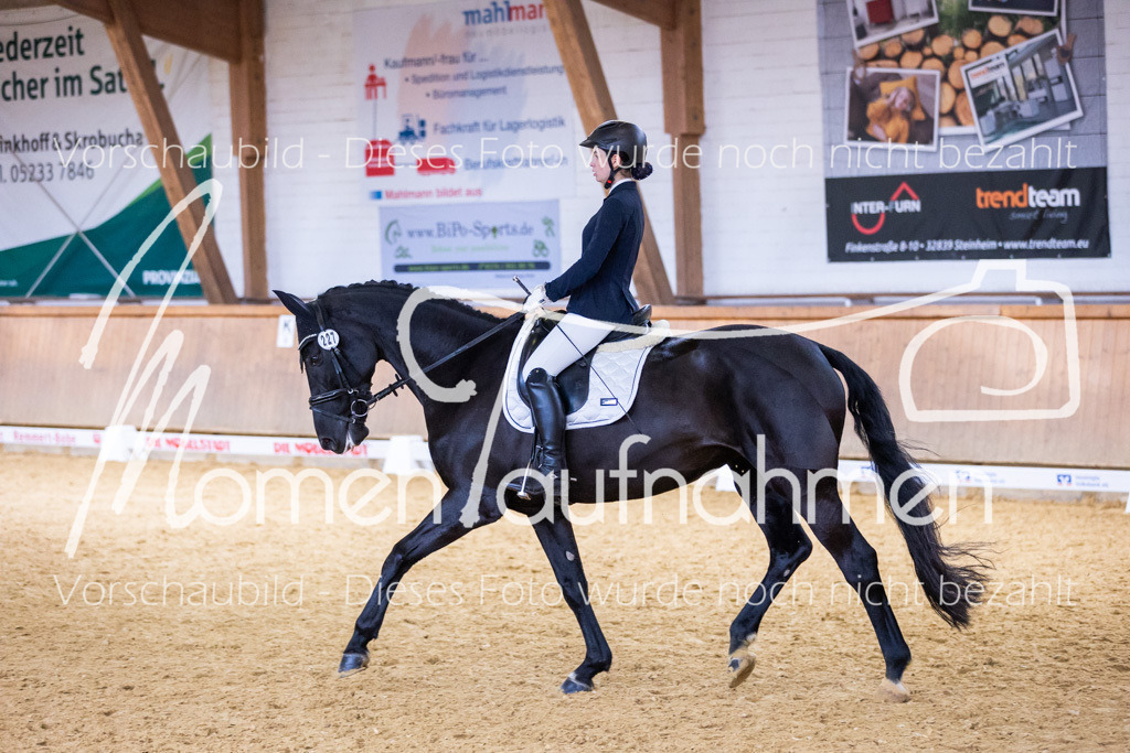 Sth-A-Dre-2St-117 | MomenTaufnahmen Pferdesportfotos