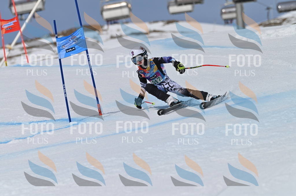 BGV_6259 | holidayphoto