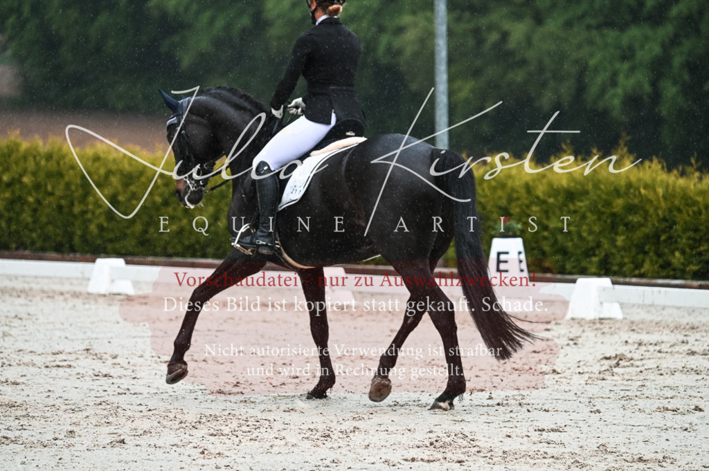 DSC_4498 | Pferde- und Turnierfotografie in Westsachsen. Pferdeportraits, Auftragszeichnungen und intuitive Kunst.