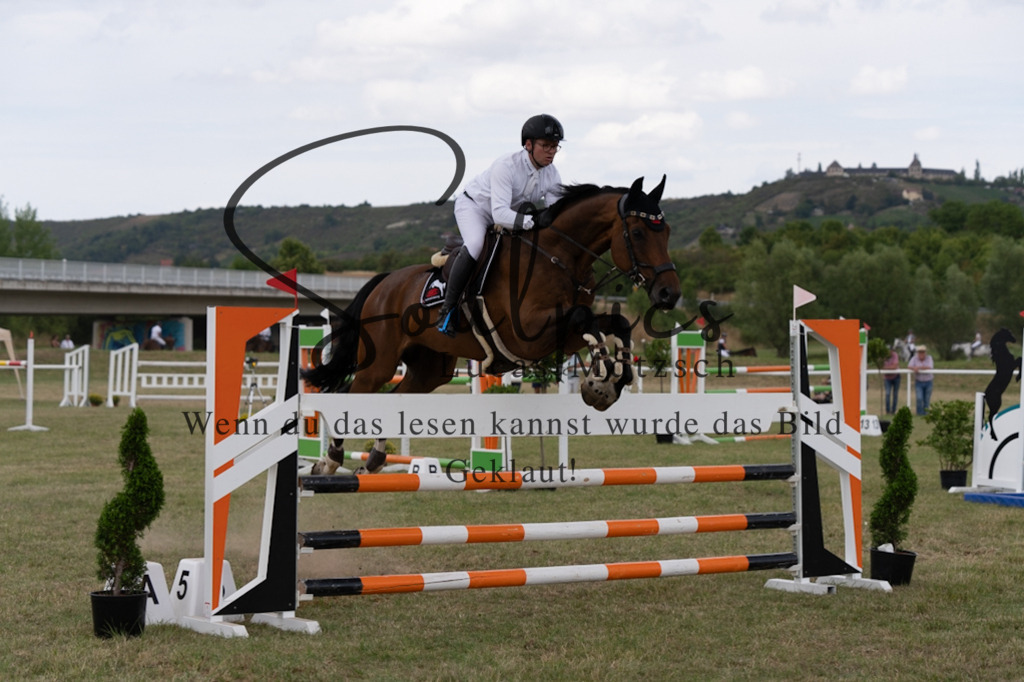 A7V02367 | Pferdefotograf