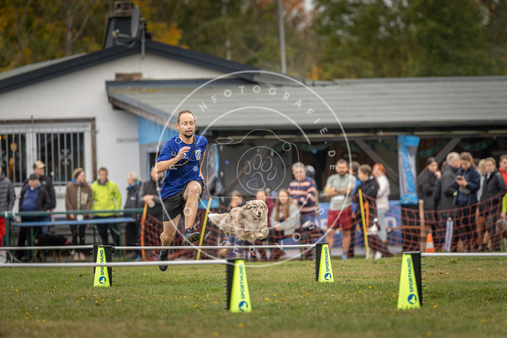 Pfotenfotografie_DV3A5016 | Hundefotografie, Tierfotograf, Pfotenfotografie, Fotoshooting Hund, Hunde Portrait, Hundesport, Hundeportraits, Heideshooting, Hunde, Sportfotograf, Hundefotograf, Turnierhundsport, THS,  - Realisiert mit Pictrs.com