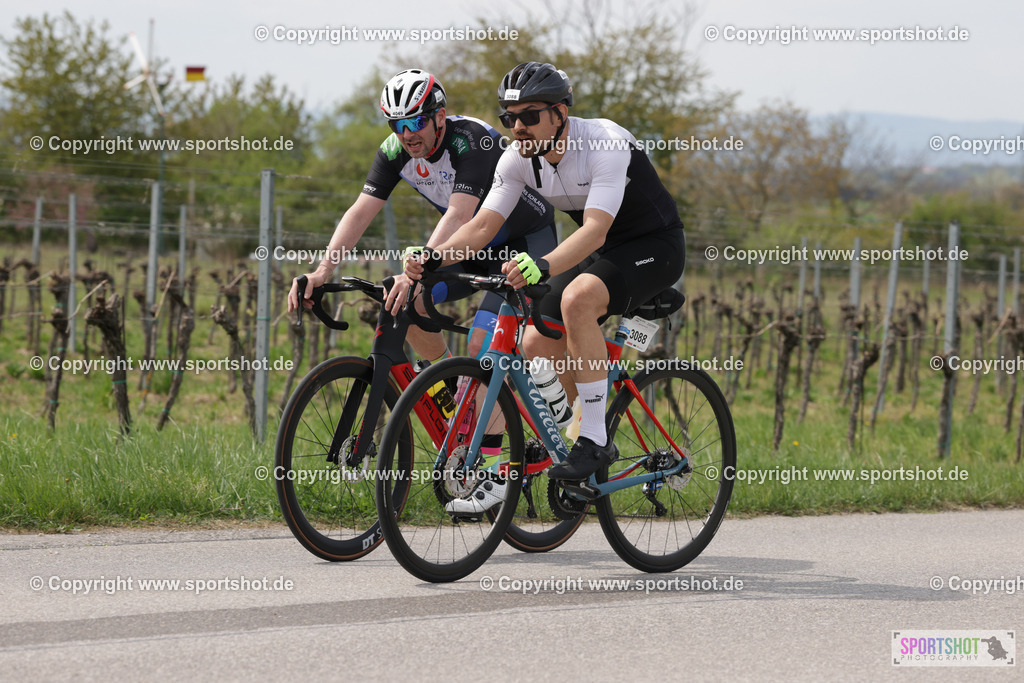 368A4909 | Neusiedlersee Radmarathon 2026@sportshot_your_pictrs #yourpictures#roadtowm2029 #nrm #neusiedlerseeradmarathon #neusiedlersee #neusiedlerseetourismus #burgenland #mörbisch #nrm26 #burgenlandtourismus #voglundco #poweredbyburgenlandtourismus #radsport #rad #marathon #ucigranfondo #visitburgenland #ucigranfondoworldseries