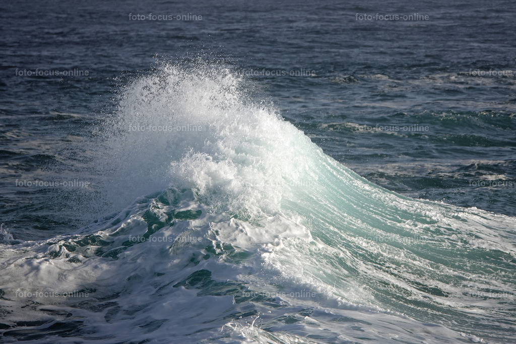 Wild Waves | Wild Waves Atlantic