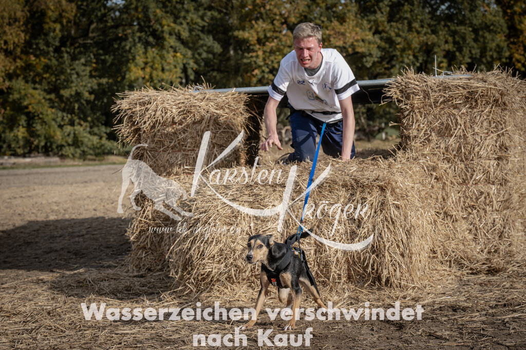 1213_ZZ93676 | kk-dogfotos