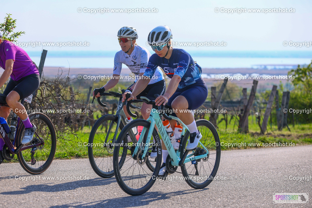 TRA_0324 | Neusiedlersee Radmarathon 2026@sportshot_your_pictrs #yourpictures#roadtowm2029 #nrm #neusiedlerseeradmarathon #neusiedlersee #neusiedlerseetourismus #burgenland #mörbisch #nrm26 #burgenlandtourismus #voglundco #poweredbyburgenlandtourismus #radsport #rad #marathon #ucigranfondo #visitburgenland #ucigranfondoworldseries