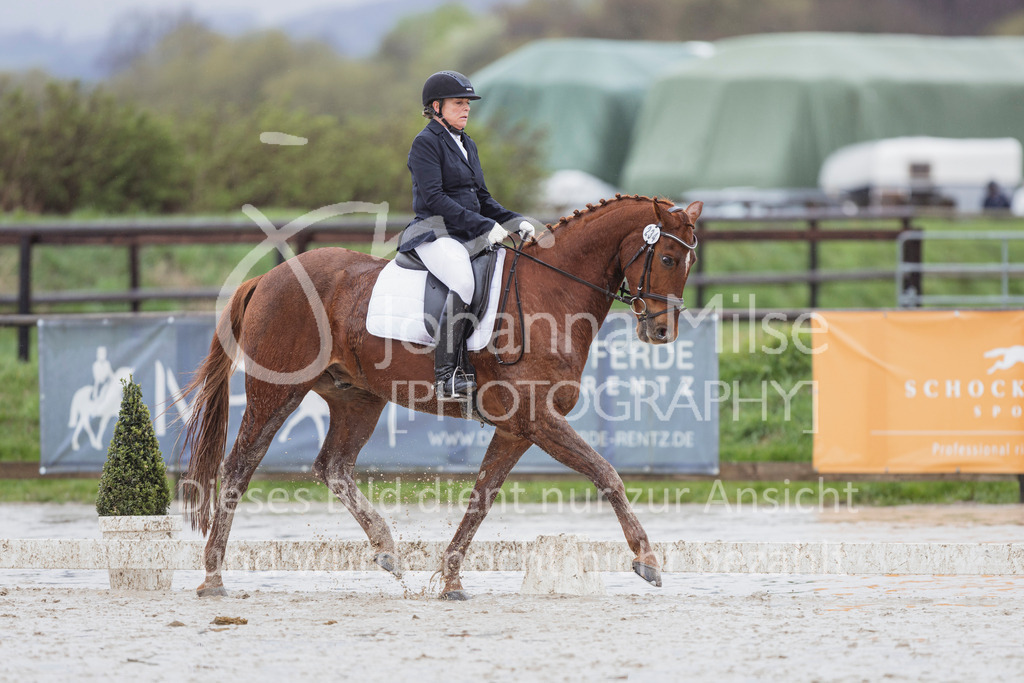 240401_Fruehlingsfest_A1-Dressur-419 | Deine schönsten Turniermomente als professionelle Fotos! Entdecke hochwertige Pferdesport-Fotografie im Online-Shop. Jetzt Fotos finden & bestellen!