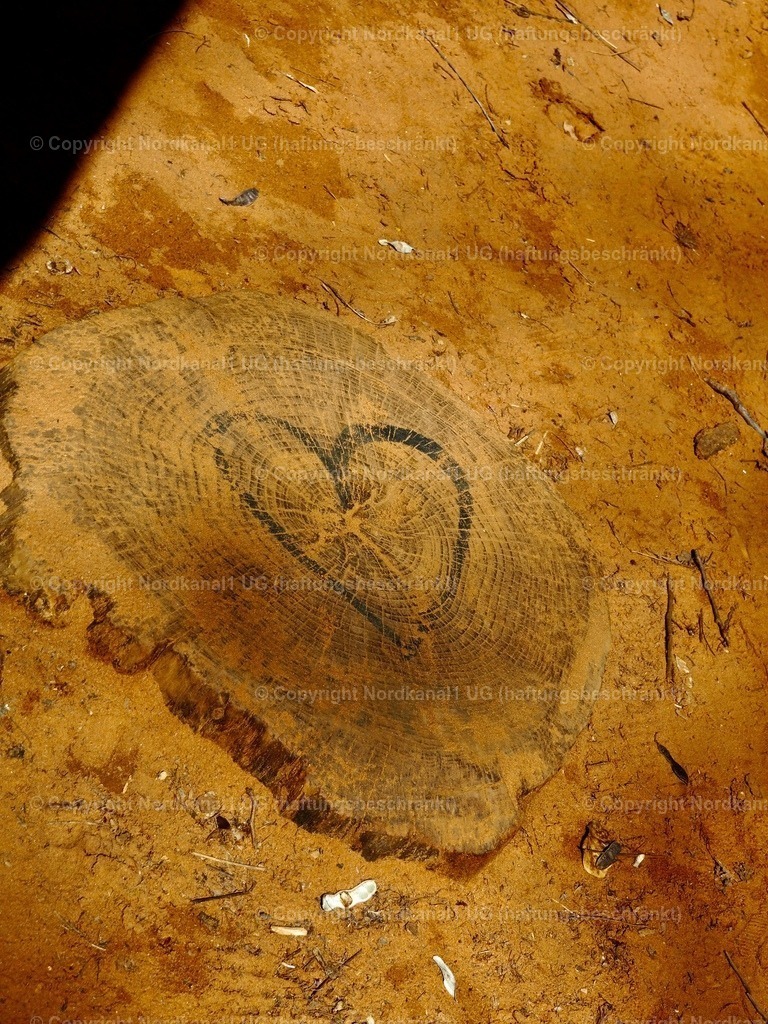 IMG_2916 | OLYMPUS DIGITAL CAMERA          - Realisiert mit Pictrs.com