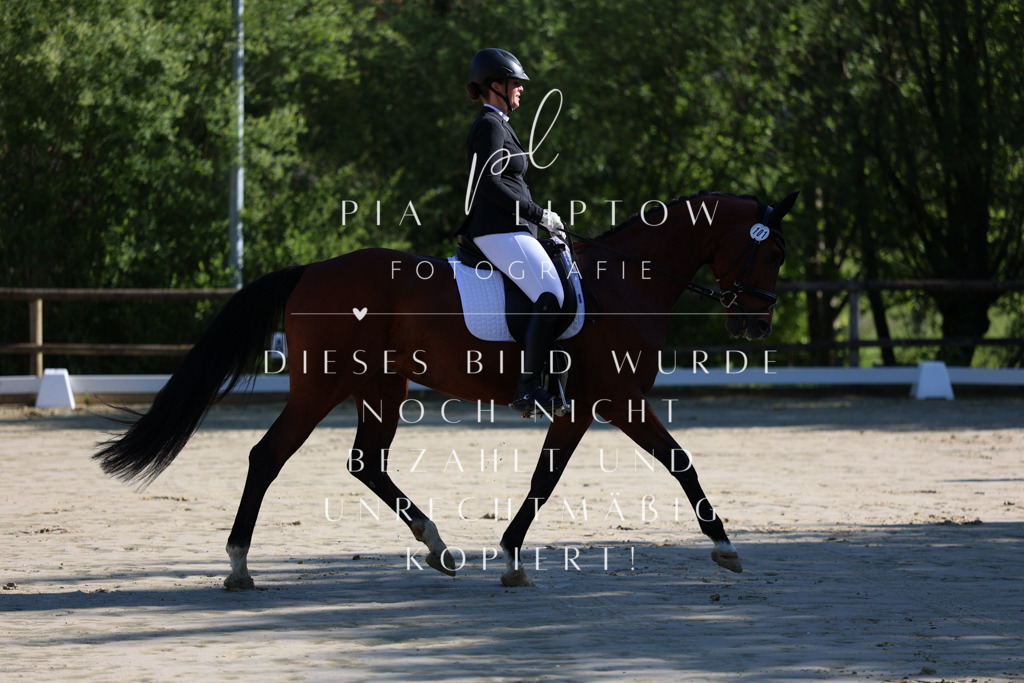 IMGT2639 | pl-fotografie