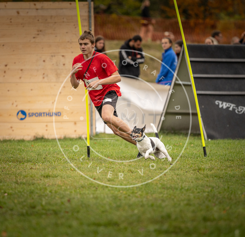 Pfotenfotografie_DV3A6287 | Hundefotografie, Tierfotograf, Pfotenfotografie, Fotoshooting Hund, Hunde Portrait, Hundesport, Hundeportraits, Heideshooting, Hunde, Sportfotograf, Hundefotograf, Turnierhundsport, THS,  - Realisiert mit Pictrs.com