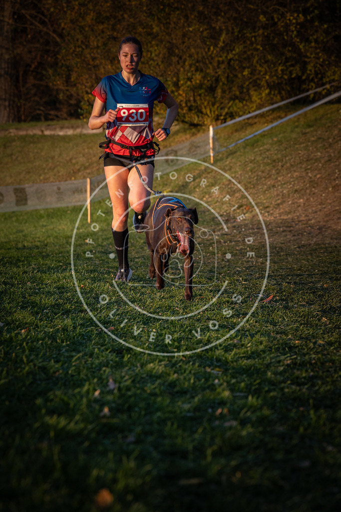 CaniXpix_0L8A1741 | Hundefotografie, Tierfotograf, Pfotenfotografie, Fotoshooting Hund, Hunde Portrait, Hundesport, Hundeportraits, Heideshooting, Hunde, Sportfotograf, Hundefotograf, Turnierhundsport, THS,  - Realisiert mit Pictrs.com