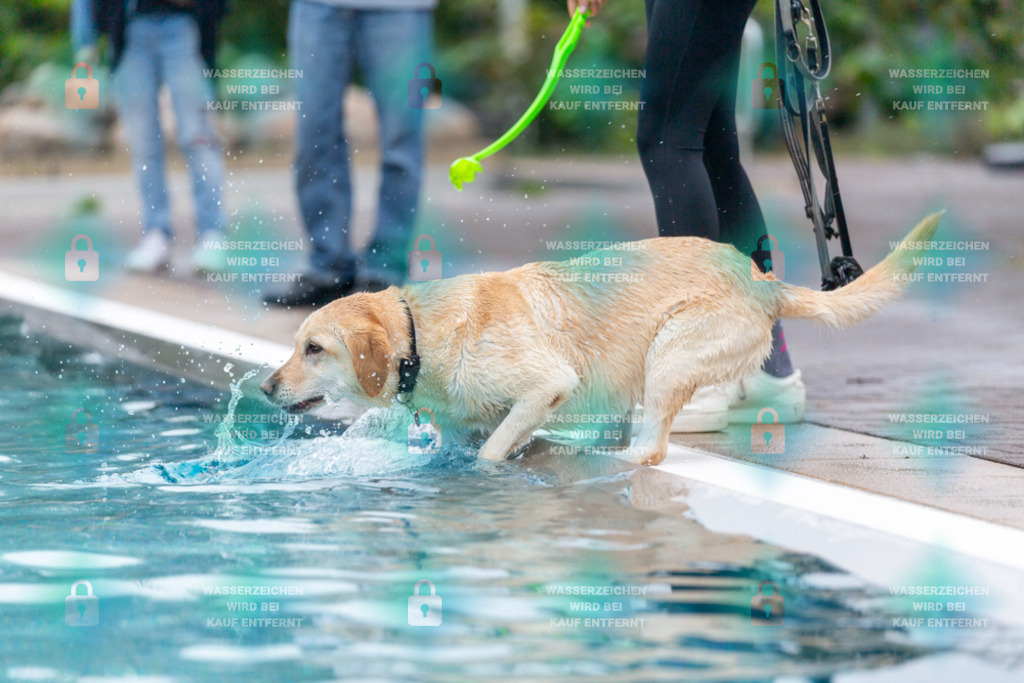 _HP_7144_1000o | HetPix, HetPix Fotodesign, Fotografie, Fotodesign, Webshop, Sportfotografie, Portraitfotografie, Onlineshop, Sportfotografie, Polch, Motorsportfotografie, Eventfotografie