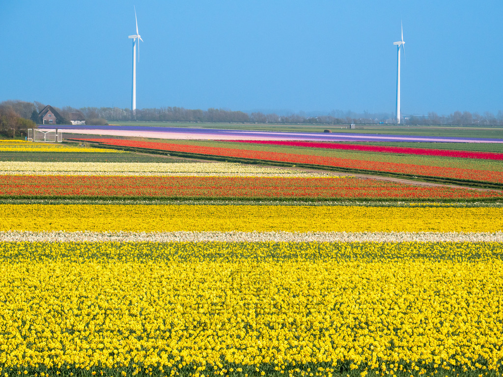 P1011358-LR | Natur im Moment - Realisiert mit Pictrs.com