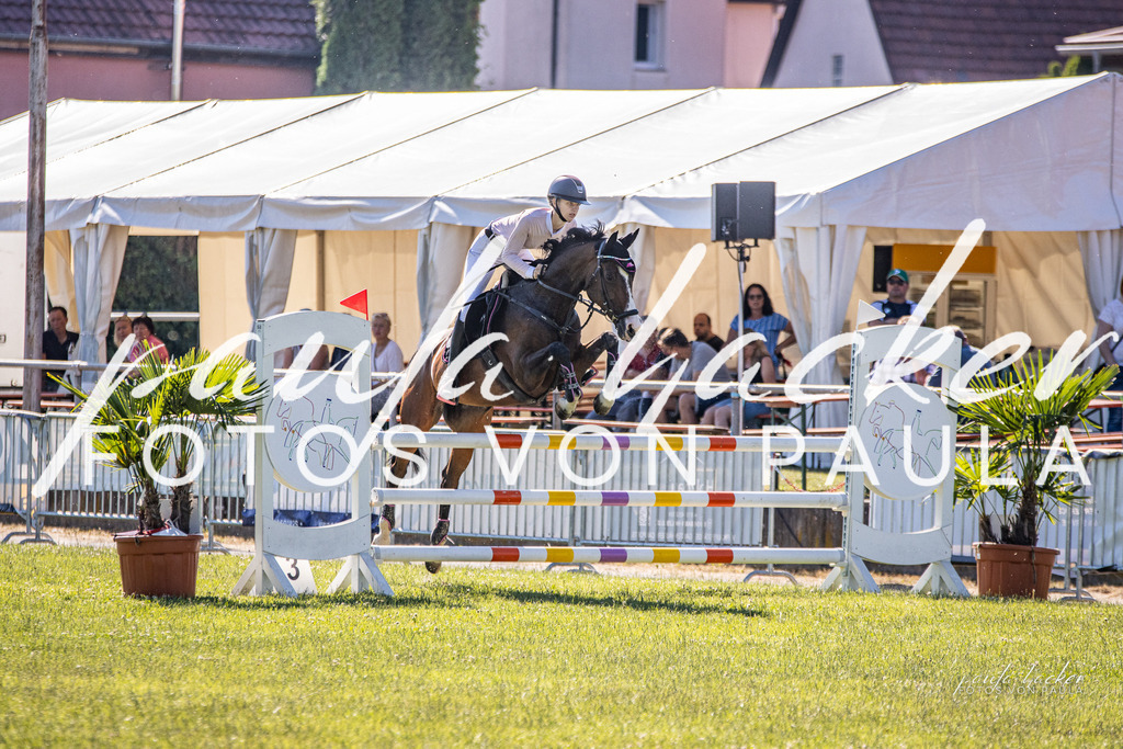 IMG_0142 | Erleben Sie dynamische Sport- und emotionale Tierfotografie in Süddeutschland mit Fotos von Paula. Spezialisiert auf Pferde- und Hundefotografie sowie Sportevents. Kontaktieren Sie mich für einzigartige und ausdrucksstarke Bilder Ihrer besonderen Momente. - Realisiert mit Pictrs.com