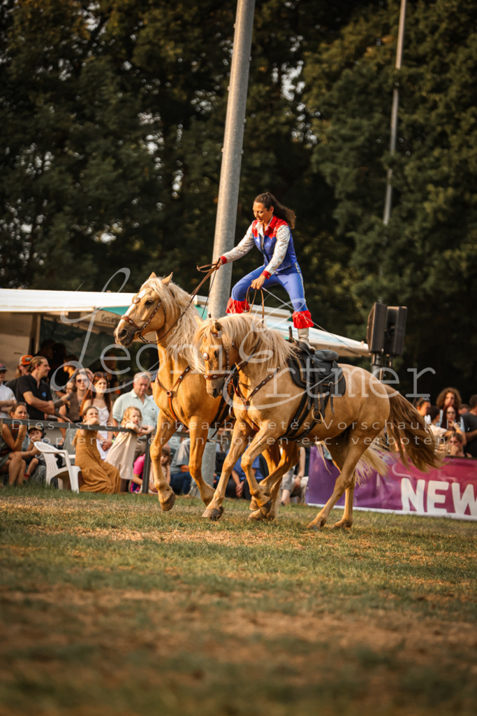 SaShow00030 | Leoni Ertmer Photography - Realisiert mit Pictrs.com