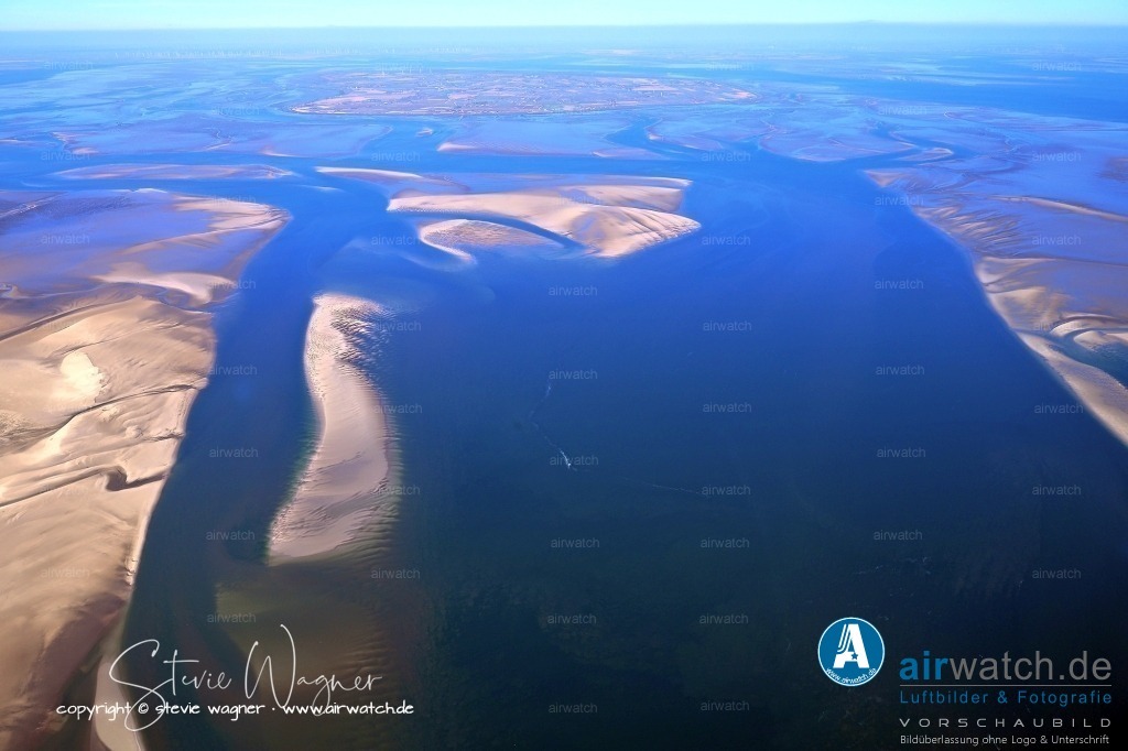Luftbilder Sandbänke Norderoogsand, Japsand, Süderoogsand | Die Sandbank ist ein wichtiger Lebensraum für Vögel, und die Naturschutzorganisationen führen dort regelmäßig Vogelzählungen durch. 