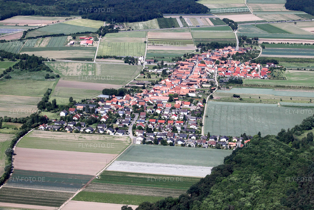 Luftbild: Ortsansicht von Osten in Erlenbach bei Kandel im Bundesland Rheinland-Pfalz in Deutschland. Foto: IMG_18472.jpg vom 30.05.2009 durch Werner Riehm/FLY-FOTO.de