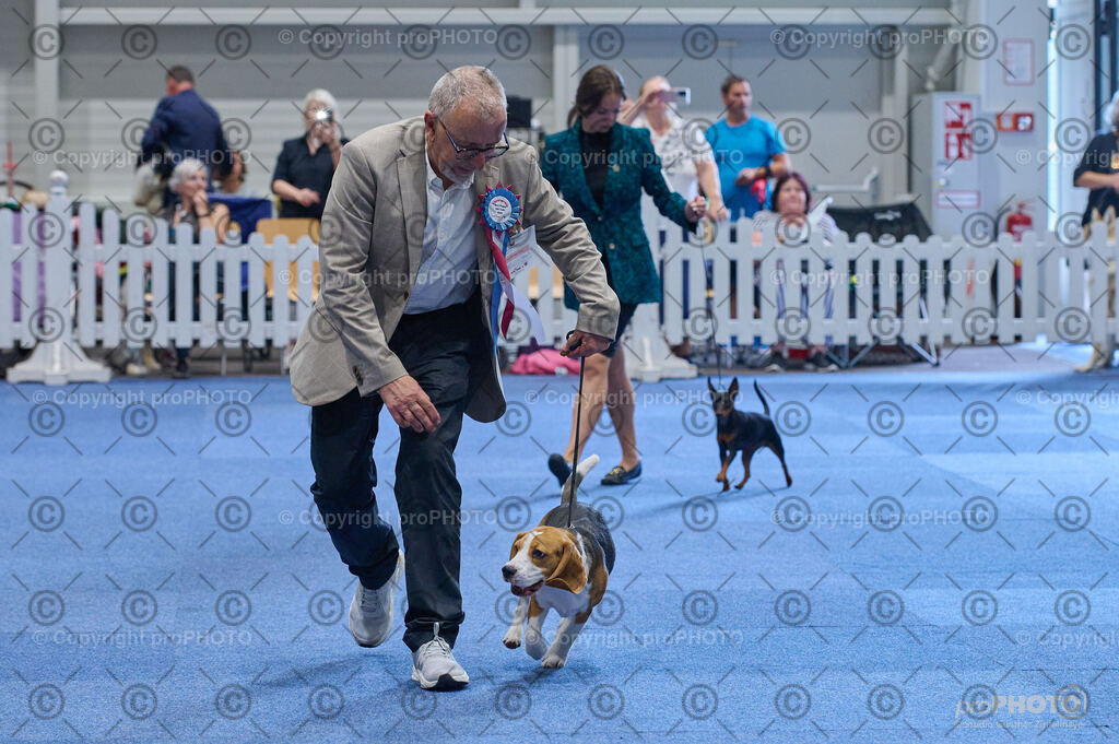 202406_ÖKV-IHA-Tulln24_DSC_4831 | proPHOTO - Realisiert mit Pictrs.com