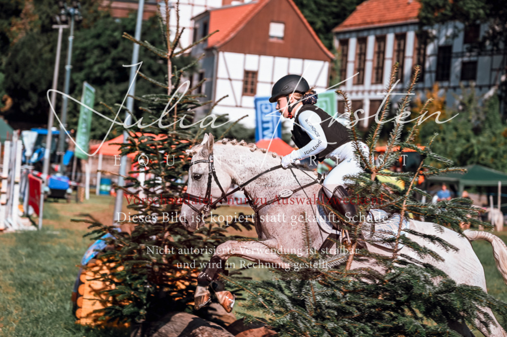 DSC_0663 | Pferde- und Turnierfotografie in Westsachsen. Pferdeportraits, Auftragszeichnungen und intuitive Kunst.