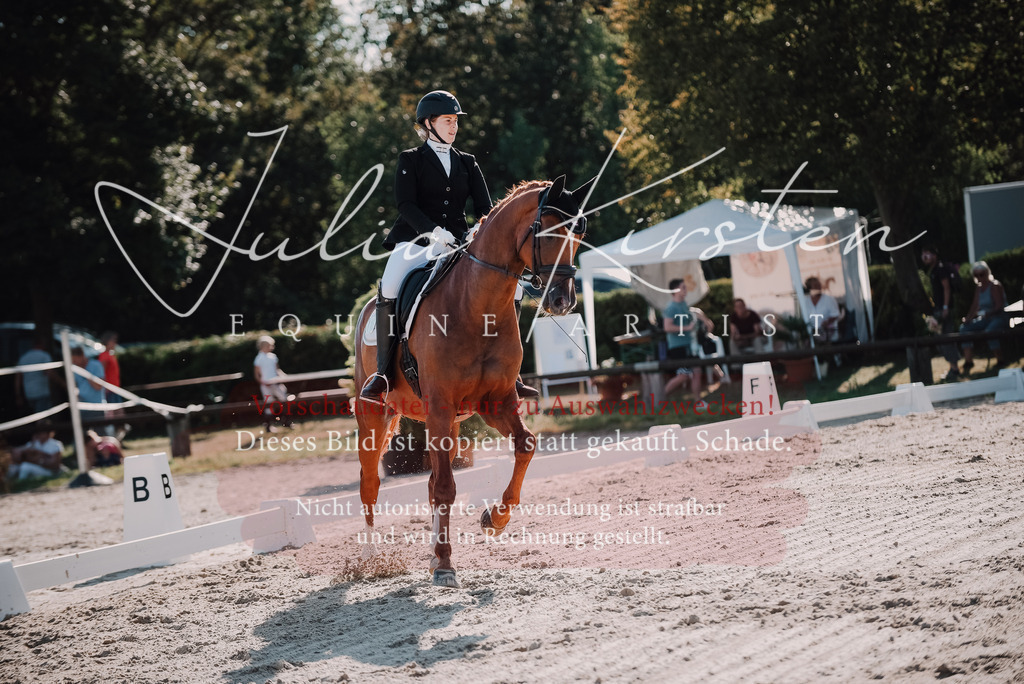 DSC_0445 | Pferde- und Turnierfotografie in Westsachsen. Pferdeportraits, Auftragszeichnungen und intuitive Kunst.