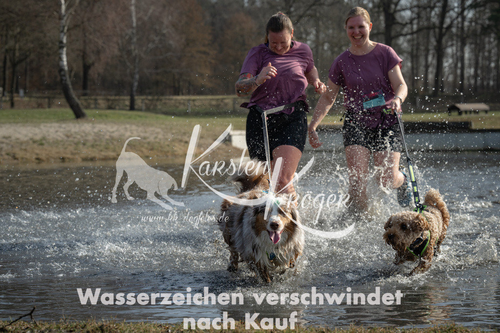 1141_ZZ95819-2 | kk-dogfotos