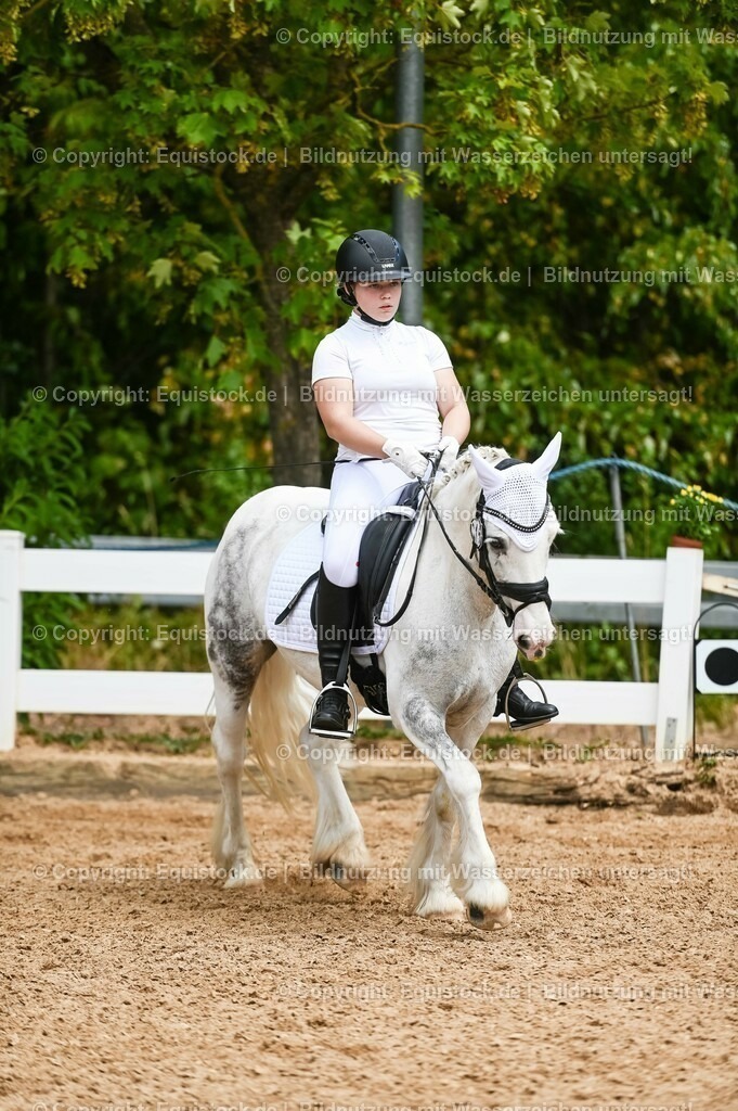 20230715_05_Dressurprüfung Kl.A++_0249 | equistock