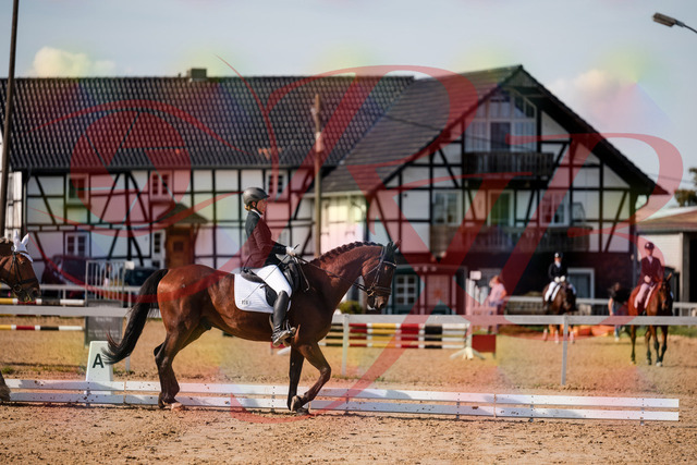 2026_10_03_Siefer-Hof_130501_Z63_68239023 | Professionelle Reitsport-, Turnier- und Eventfotografie von Robert Broda. Galerien mit ausgewählten und bearbeiteten Bildern direkt online ansehen und bestellen.