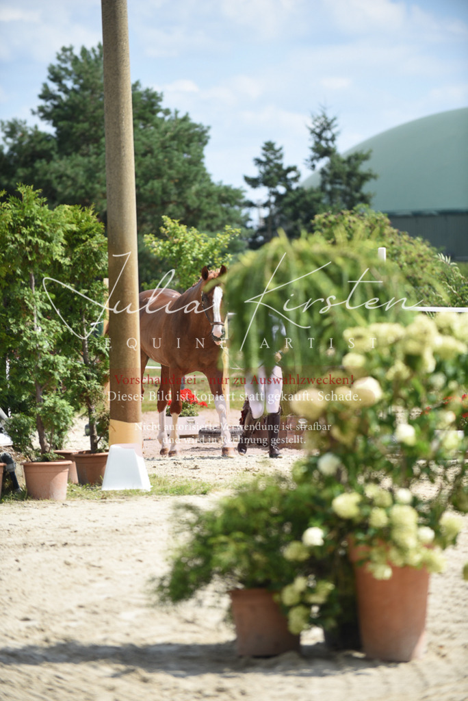 DSC_8975 | Pferde- und Turnierfotografie in Westsachsen. Pferdeportraits, Auftragszeichnungen und intuitive Kunst.