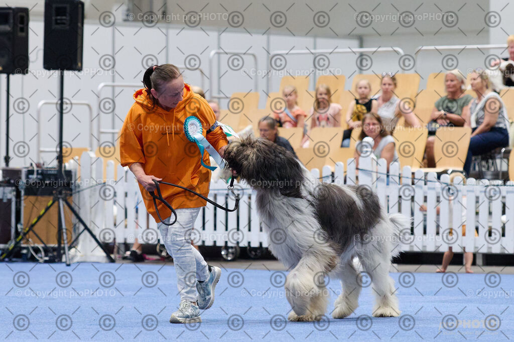 202406_ÖKV-IHA-Tulln24_DSC_2870 | proPHOTO - Realisiert mit Pictrs.com