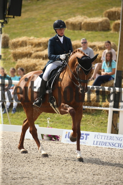 Birkhof_2022_GrandPrixSpecial_Nicole Casper_Birkhof_s Don Röschen FBW(8) | Alle Fotos der Reiterjournal Fotografin Doris Matthaes im Reiterjournal Online-Fotoshop. - Realisiert mit Pictrs.com