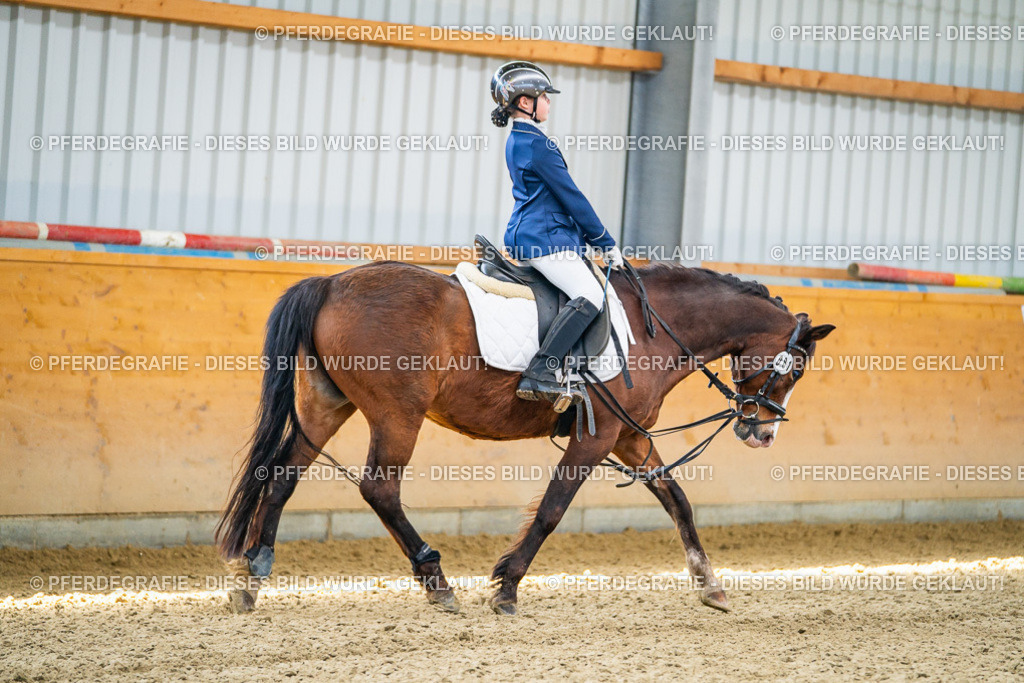 DSC02450 | Pferdegrafie