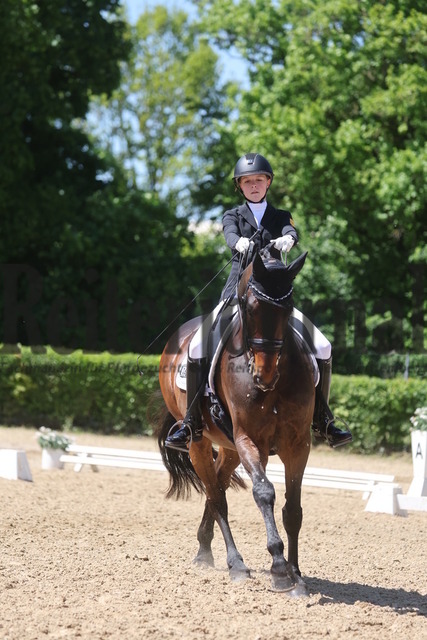Böblingen_2025_Prfg.Nr.08_Dressurprüfung_Kl.M_Nürnberger Burgpokal_Lara Theis_FBW Felipe (11) | Alle Fotos der Reiterjournal Fotografin Doris Matthaes im Reiterjournal Online-Fotoshop. - Realisiert mit Pictrs.com
