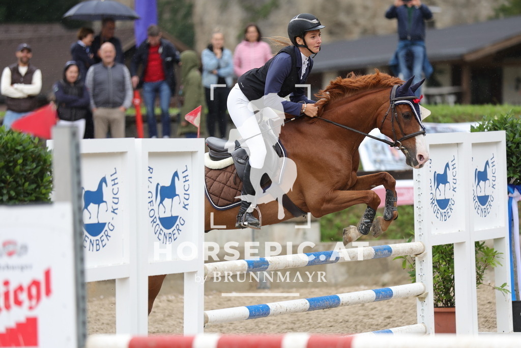0P6A1554 | Willkommen bei Brunnmayr - Design & Fotografie – Ihrem Spezialisten für Reitturniere und Pferdeveranstaltungen in Oberösterreich, Salzburg und Bayern! Seit über 17 Jahren sind wir leidenschaftlich dabei.