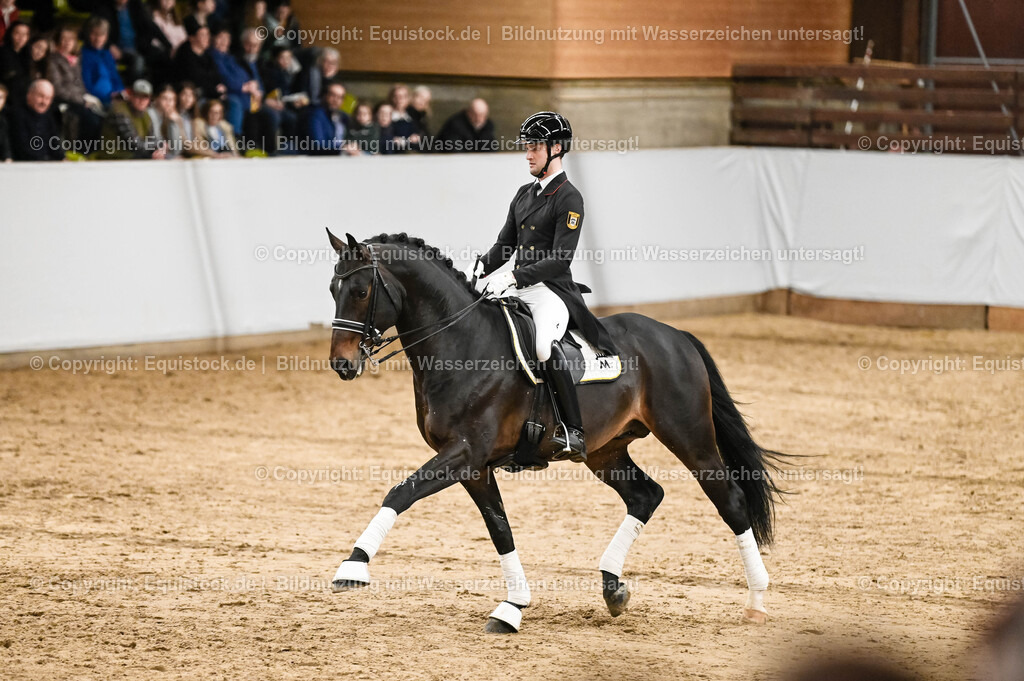 20260307_Hengstvorstellung-Marbach_0212 | equistock