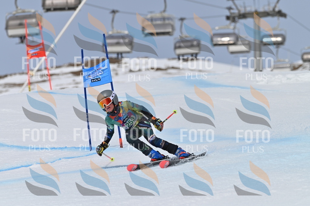 BGV_5018 | holidayphoto