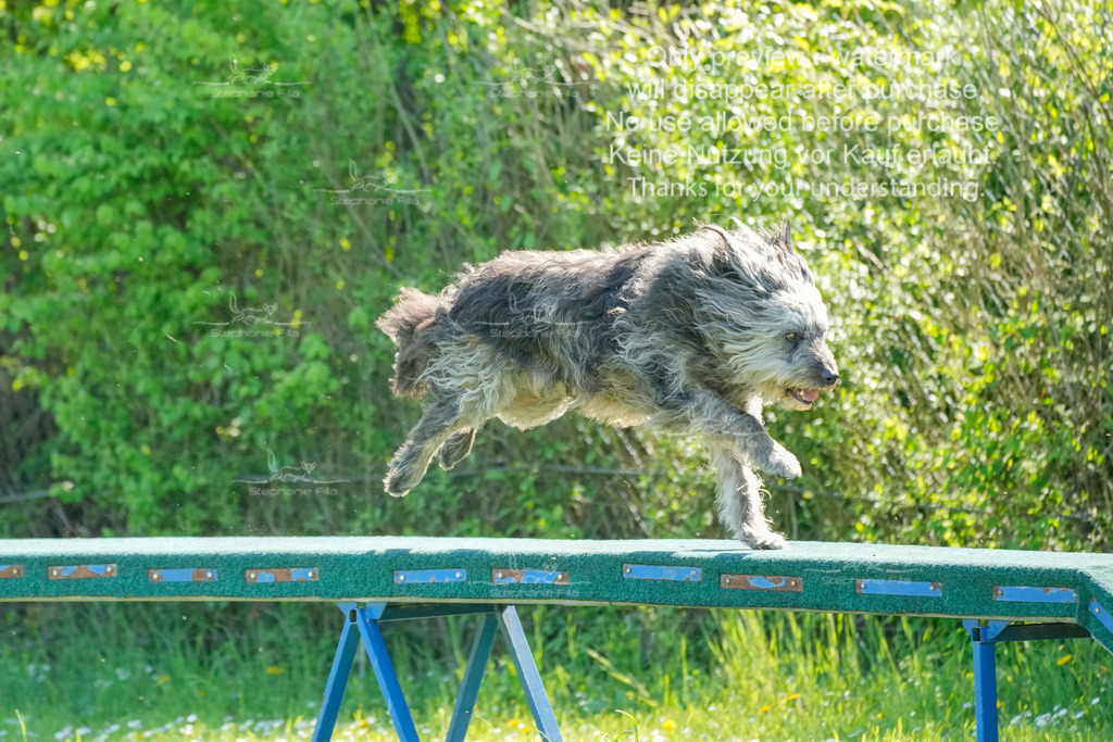 Sa_VK3_03-2 | stephaniefillaphotographie - Realisiert mit Pictrs.com