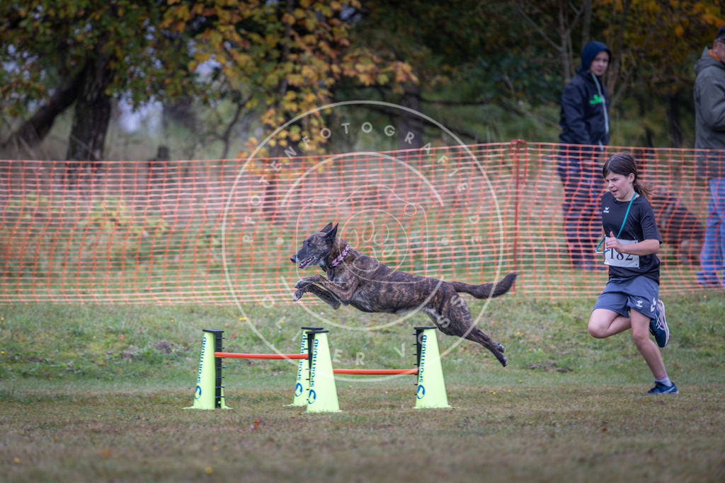 Pfotenfotografie_DV3A0347 | Hundefotografie, Tierfotograf, Pfotenfotografie, Fotoshooting Hund, Hunde Portrait, Hundesport, Hundeportraits, Heideshooting, Hunde, Sportfotograf, Hundefotograf, Turnierhundsport, THS,  - Realisiert mit Pictrs.com